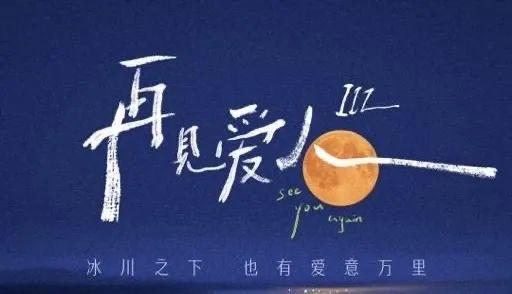 再见爱人，深度评价、解读与反思的情感之旅