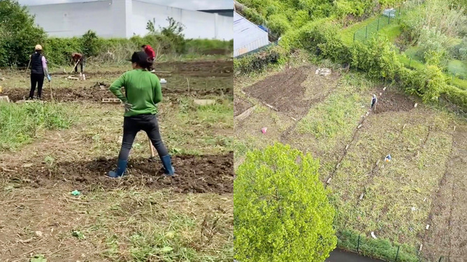 法国市长与中国大姐的荒地种菜绿色革命故事