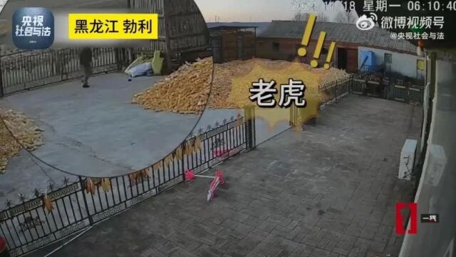 大四学生挂八科后失联溺亡，警示背后的悲剧