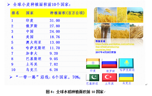 管家婆一码一肖必开,精细化分析说明_SP46.570