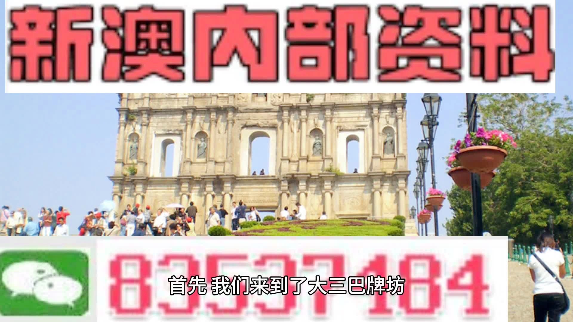 新澳2024年精准一肖一码,定性评估说明_精简版27.221