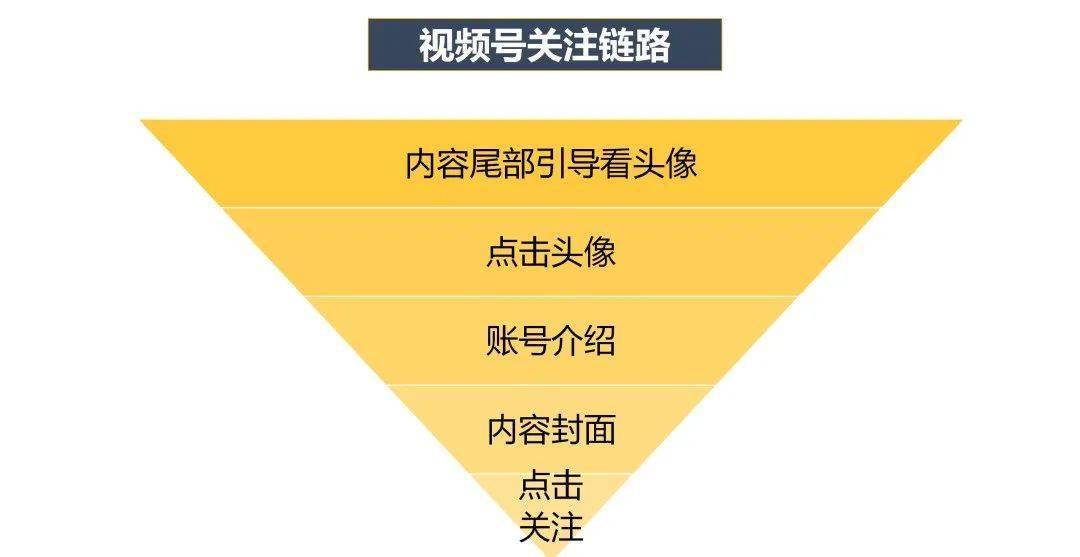 新澳天天免费资料大全,实地分析数据执行_战斗版97.580