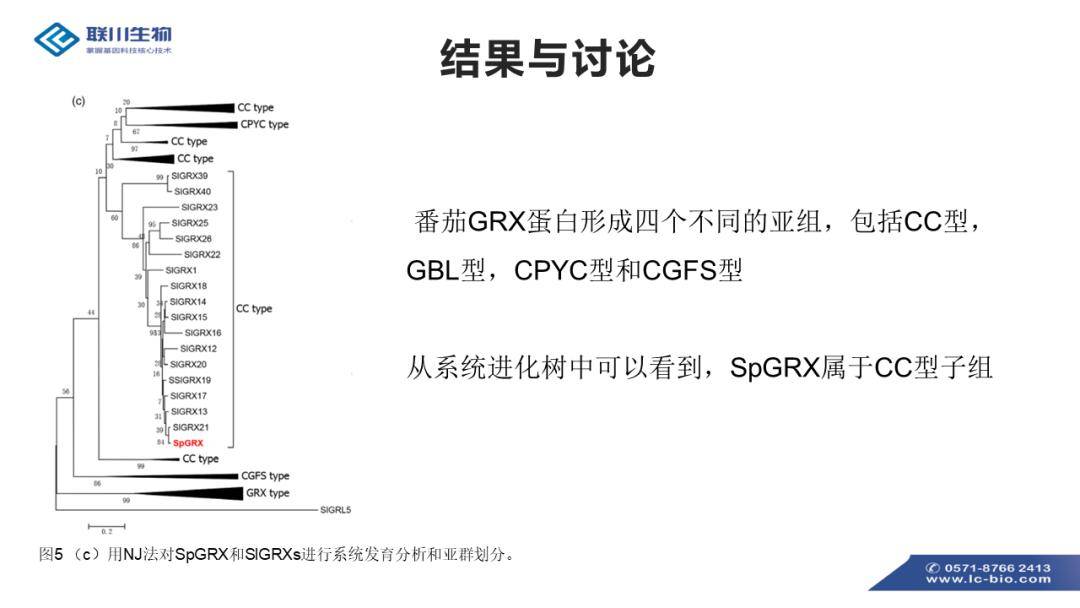 新澳资料免费,调整方案执行细节_Mixed41.588