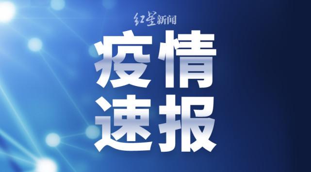 新澳门一码一码100准确,数据引导设计策略_轻量版34.776