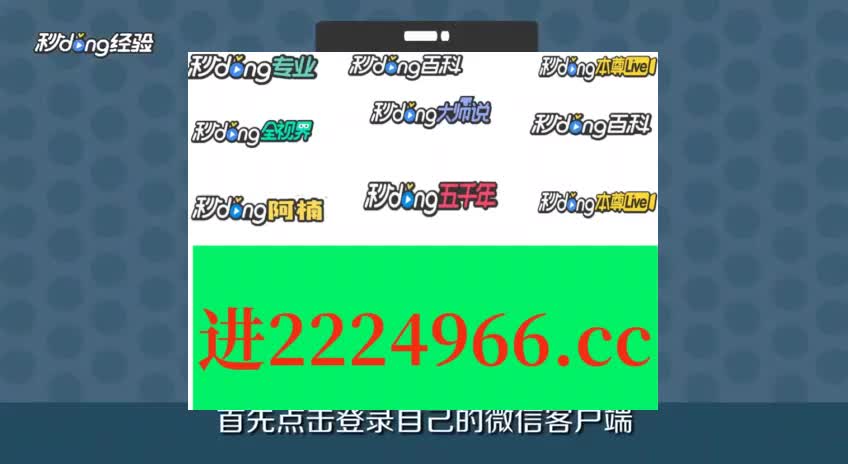 王中王一肖一特一中免费,实地数据验证策略_U72.396