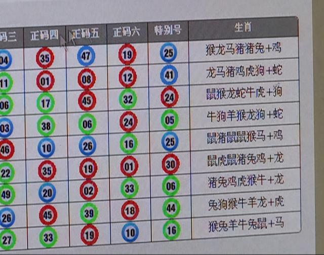 六合一肖中,实际数据说明_Lite67.62