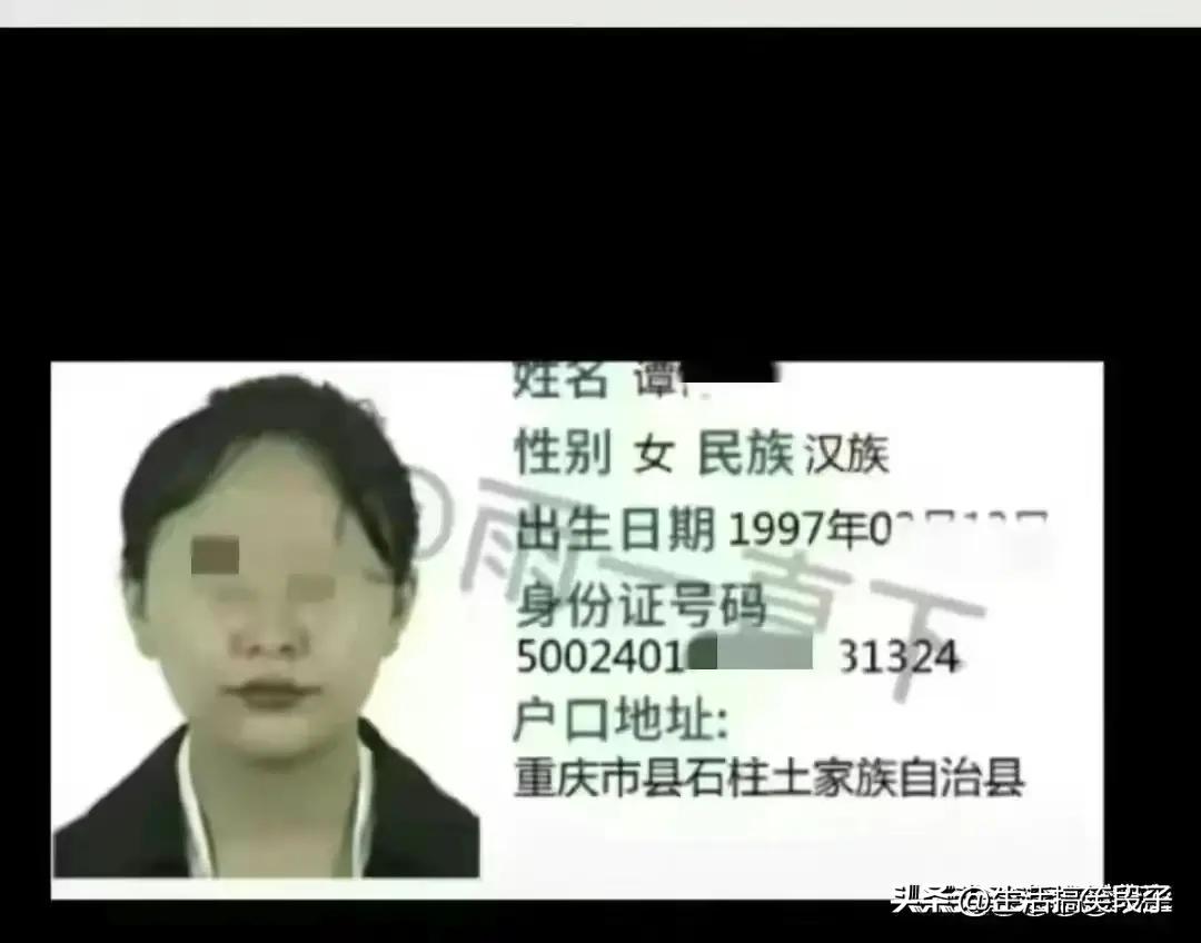 胖猫事件背后的反思与启示