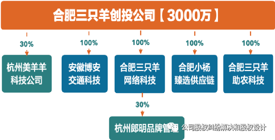 疯狂小杨哥股权架构深度解析，商业逻辑与策略揭秘