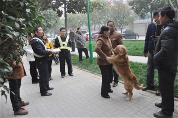 母女公园散步遭犬撕咬事件引发关注，狗主人将面临哪些法律责任？警方介入处理。