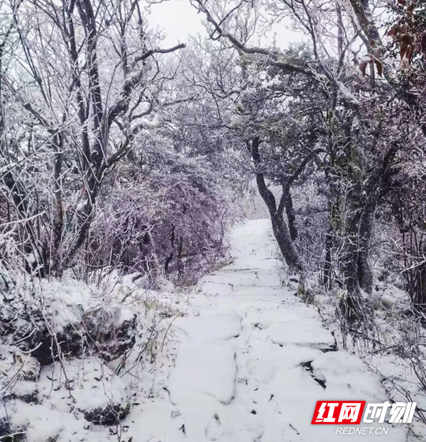 长沙瑞雪纷飞