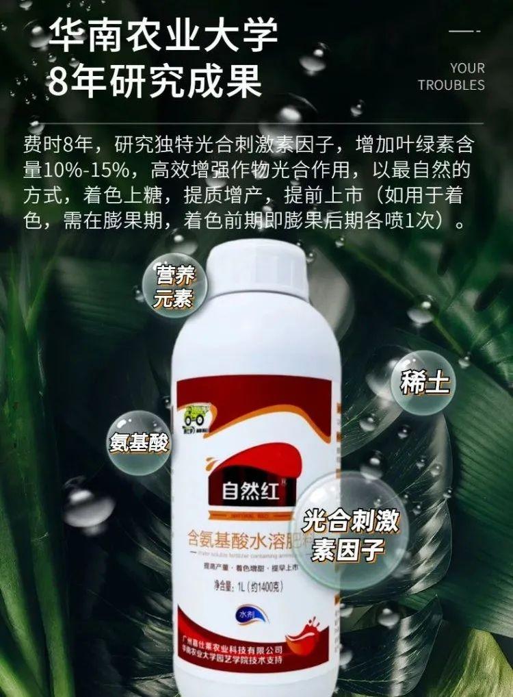 砂糖橘食用真相揭秘，流言下的食用争议