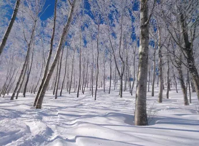 中国游客滑雪遭遇粉雪险境致悲剧，警示滑雪安全需重视