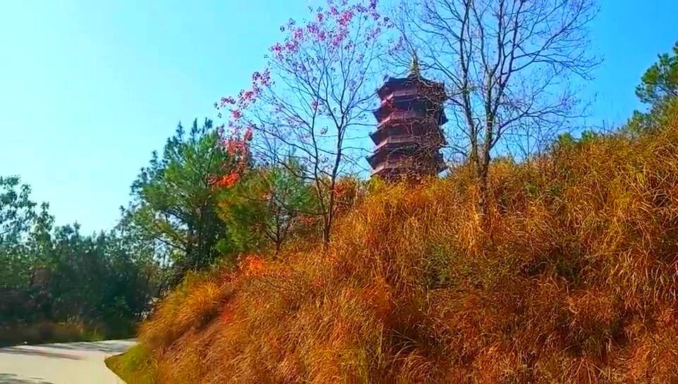 自我成景，意外爬山之旅的启示