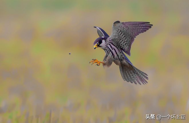 冬至惊喜，黑马时刻的偶然发现