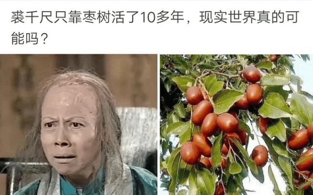 裘千尺靠枣树生存十余载，现实世界的奇迹生命力