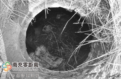 老夫妻地窖酿酒遭遇悲剧，一人死亡一人昏迷