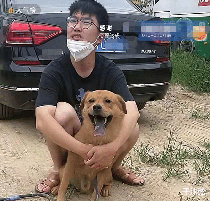 网红狗艾特洗澡死亡事件，训犬师谈反思与启示