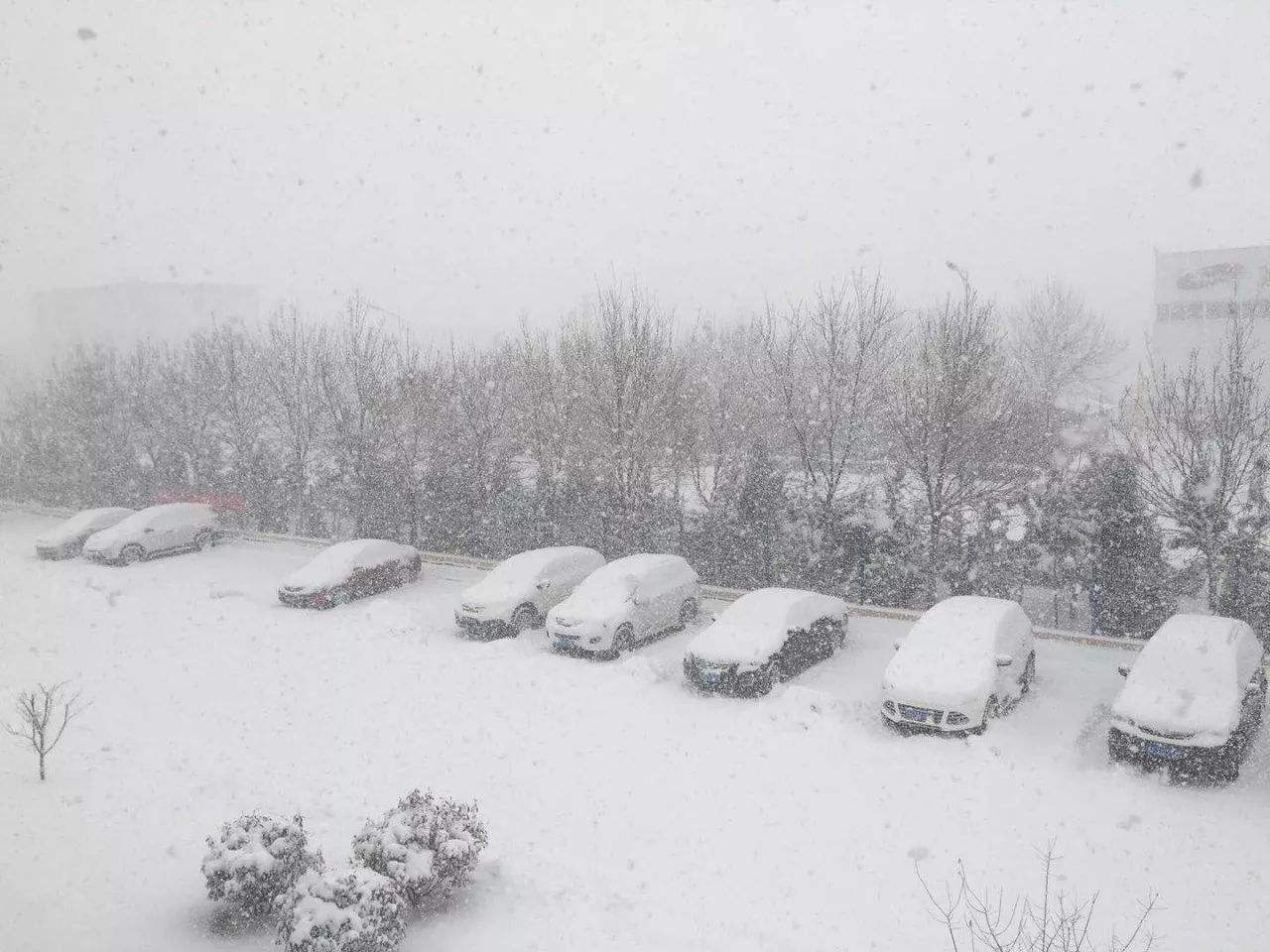 应对今冬最强雨雪挑战，保障安全无虞