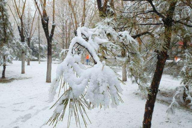 北京雪落纷飞