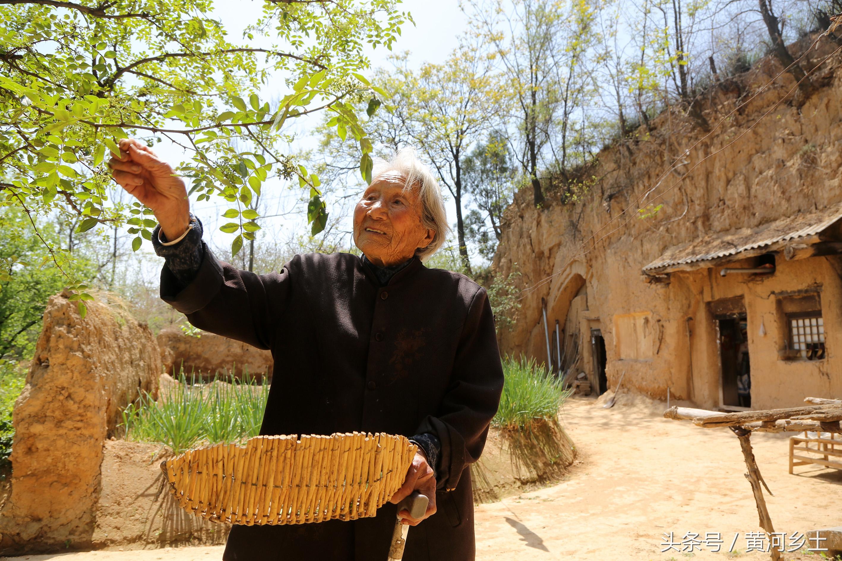 老年人生活习惯中的痛点，难以忍受的习惯及其影响探讨