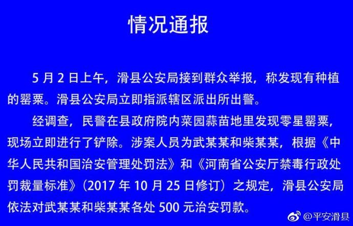 政府院内群众抱干部腿事件真相揭晓与反思启示