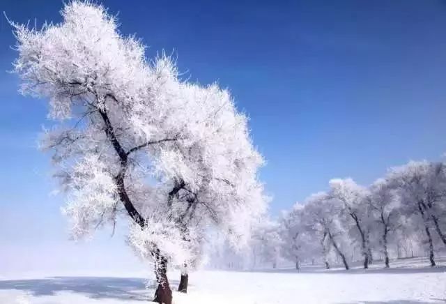 哈尔滨遇见亚冬，冰雪中的精彩篇章