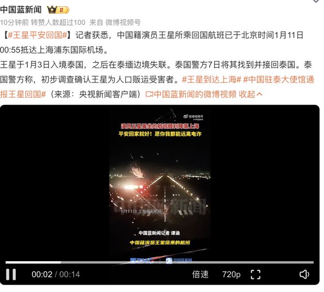 跨国犯罪背后的故事，中国籍团伙成员被遣返揭示拐卖王星真相