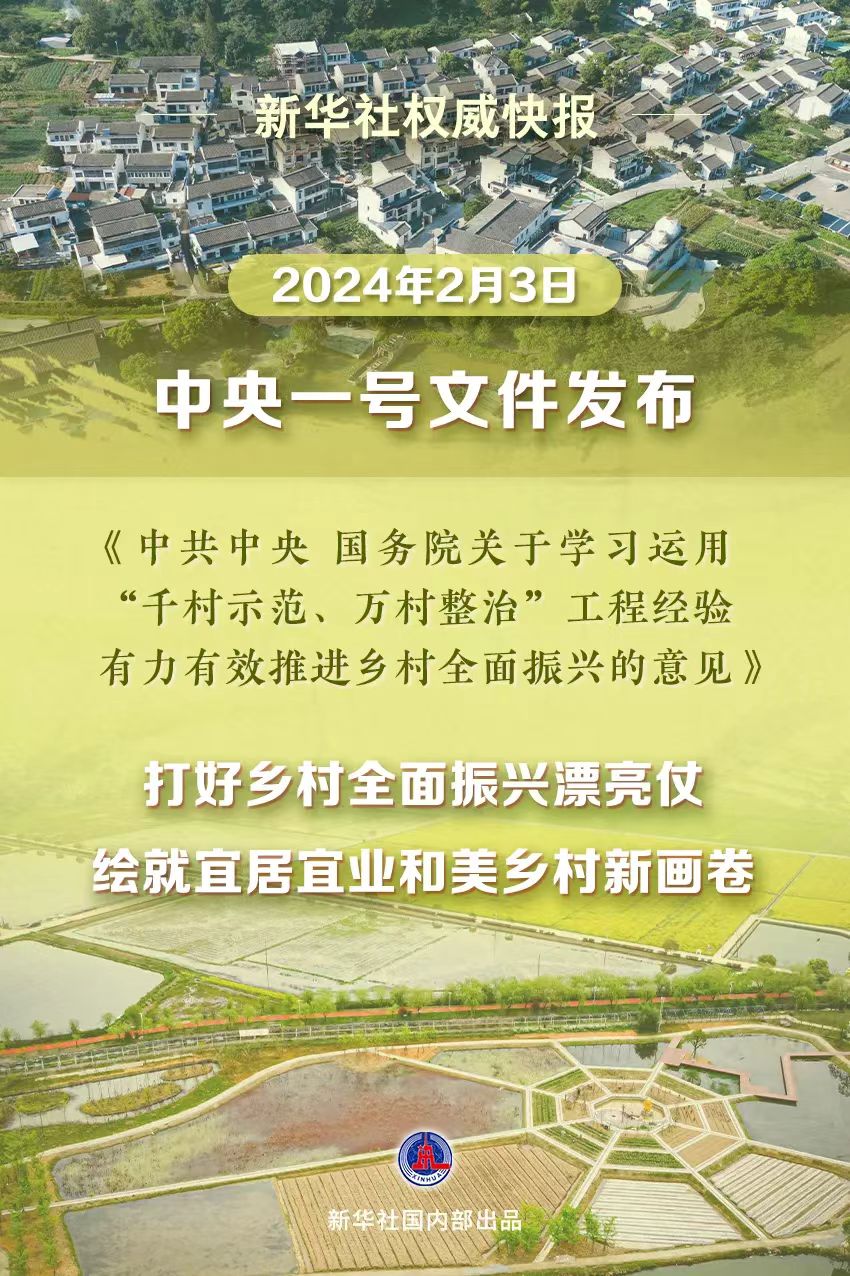 解读中央一号文件，引领乡村振兴，实现农业现代化目标