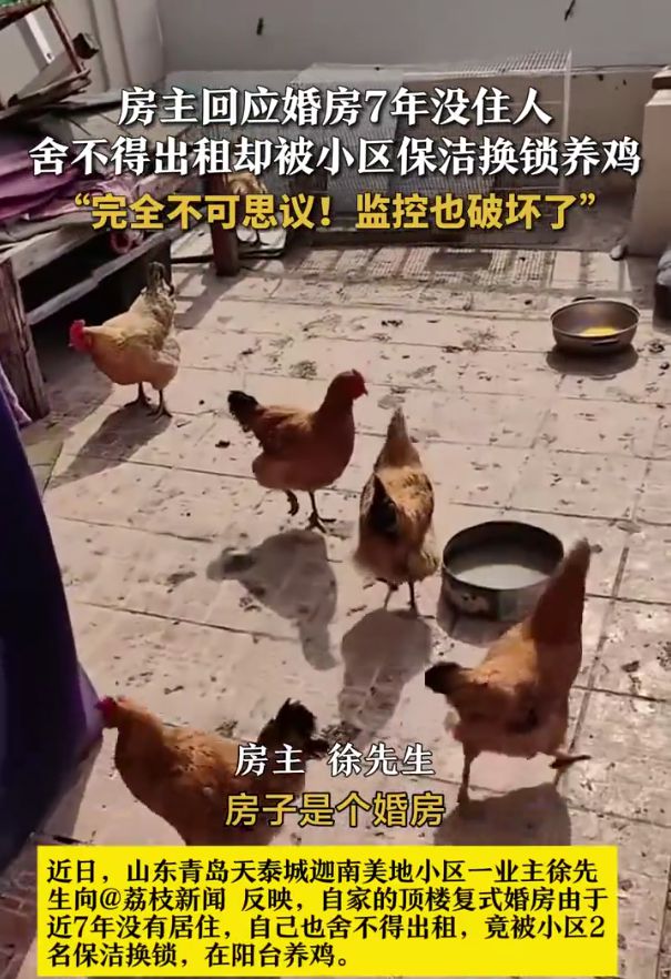 婚房七年未住引发深思，小区保洁换锁养鸡事件背后的问题探讨